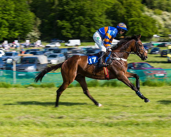 Race 6 - The Open Maiden (59 of 129)