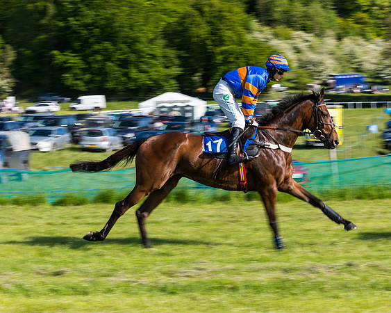 Race 6 - The Open Maiden (60 of 129)