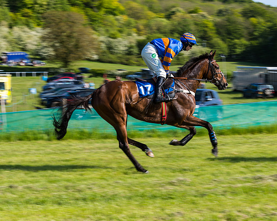 Race 6 - The Open Maiden (61 of 129)