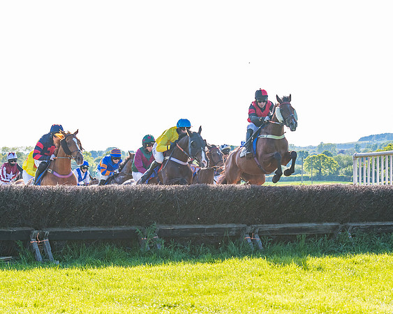 Race 6 - The Open Maiden (62 of 129)
