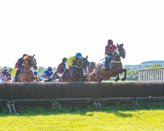 Race 6 - The Open Maiden (63 of 129)