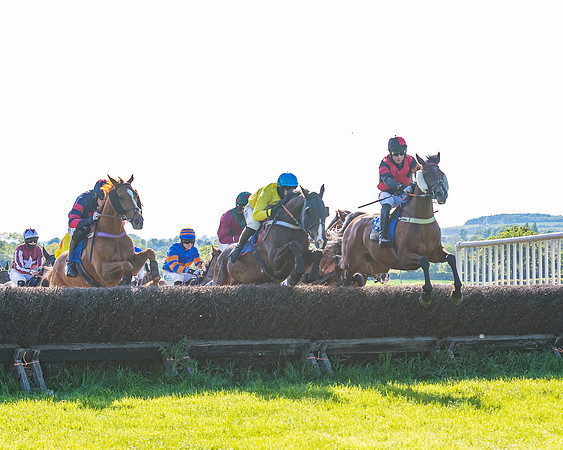Race 6 - The Open Maiden (64 of 129)