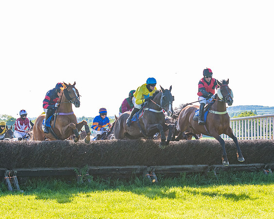Race 6 - The Open Maiden (65 of 129)