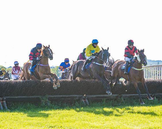 Race 6 - The Open Maiden (66 of 129)