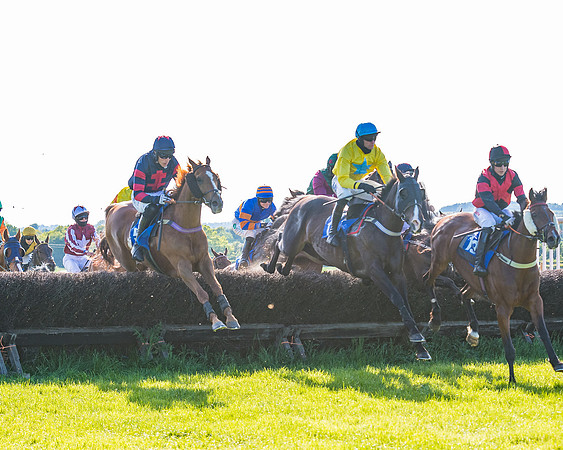 Race 6 - The Open Maiden (67 of 129)