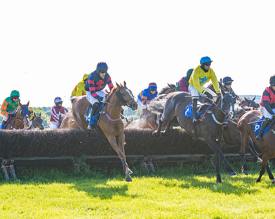 Race 6 - The Open Maiden (68 of 129)