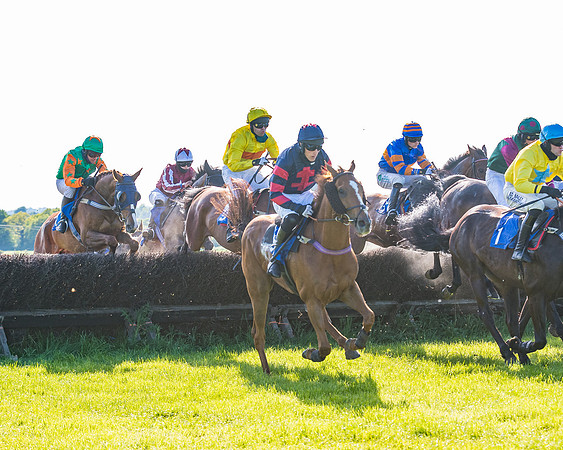 Race 6 - The Open Maiden (69 of 129)