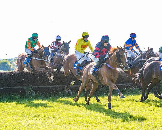 Race 6 - The Open Maiden (70 of 129)