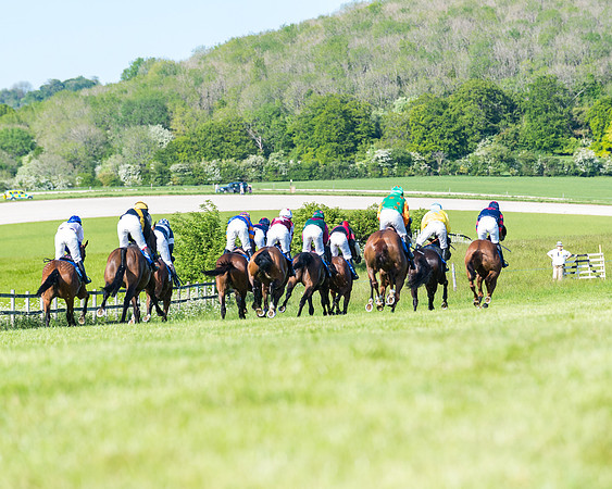 Race 6 - The Open Maiden (71 of 129)