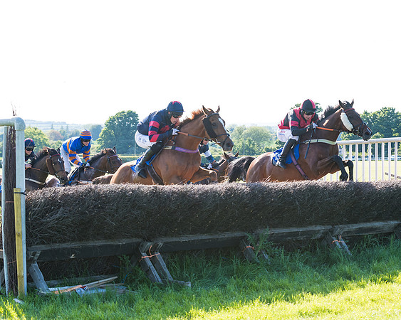 Race 6 - The Open Maiden (72 of 129)