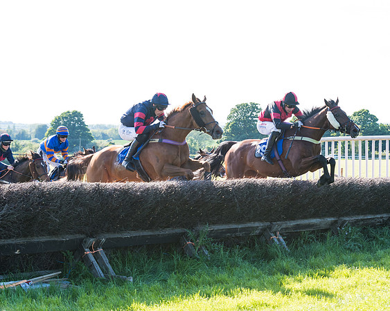Race 6 - The Open Maiden (73 of 129)
