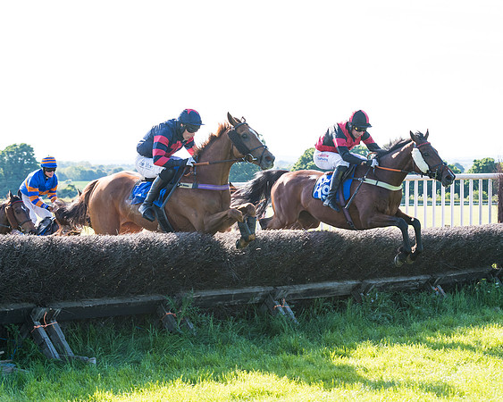 Race 6 - The Open Maiden (74 of 129)