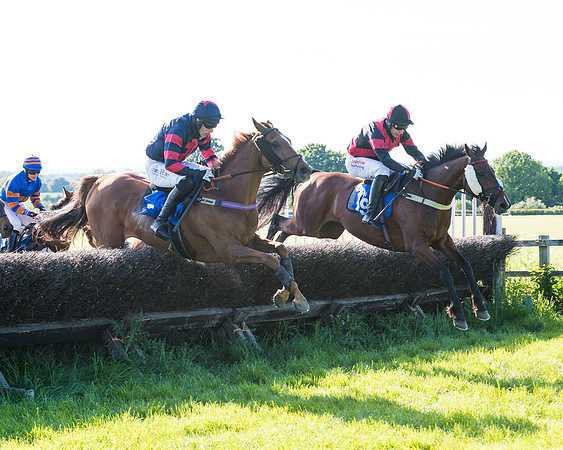 Race 6 - The Open Maiden (75 of 129)