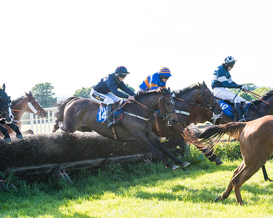 Race 6 - The Open Maiden (77 of 129)