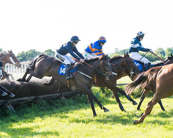 Race 6 - The Open Maiden (78 of 129)