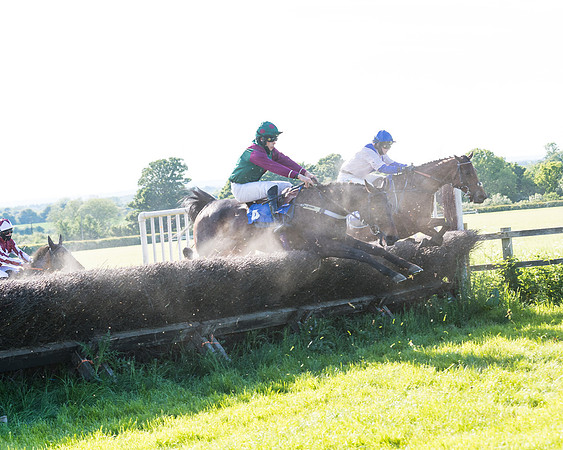 Race 6 - The Open Maiden (80 of 129)