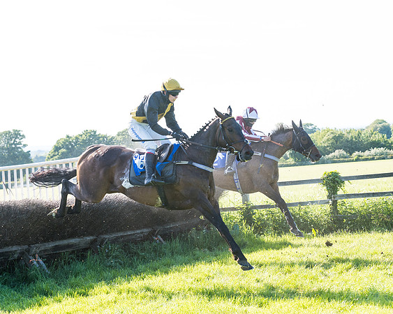 Race 6 - The Open Maiden (82 of 129)
