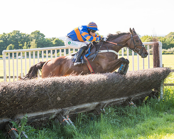 Race 6 - The Open Maiden (83 of 129)