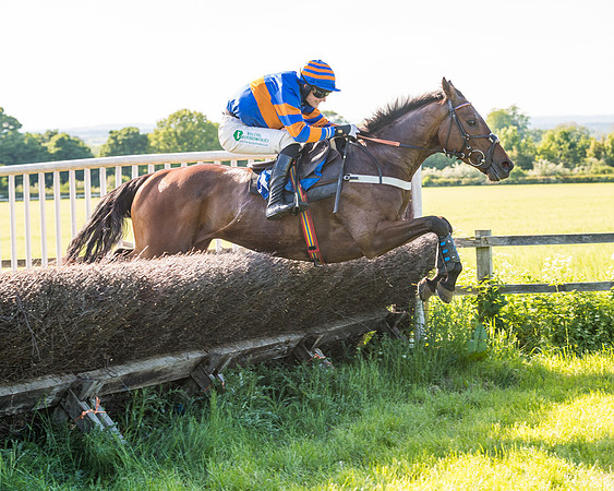 Race 6 - The Open Maiden (84 of 129)
