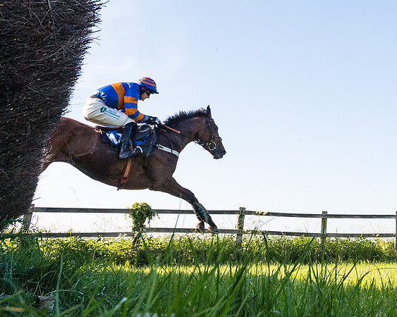 Race 6 - The Open Maiden (85 of 129)