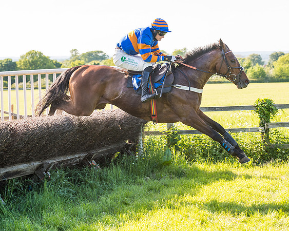 Race 6 - The Open Maiden (86 of 129)