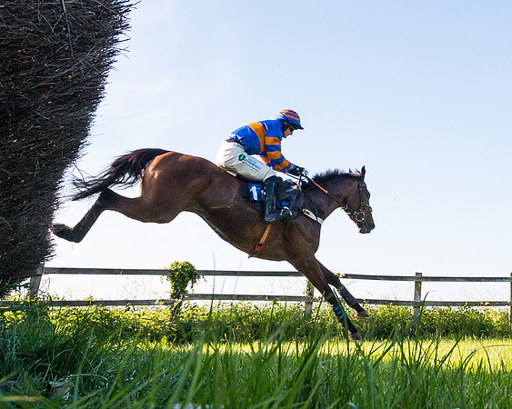 Race 6 - The Open Maiden (87 of 129)