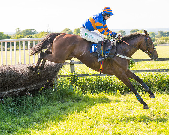 Race 6 - The Open Maiden (88 of 129)