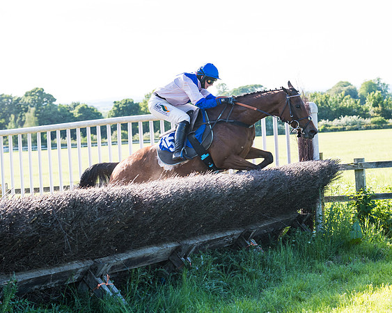 Race 6 - The Open Maiden (89 of 129)