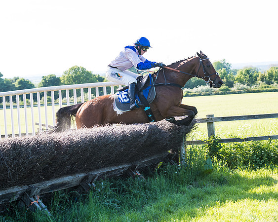 Race 6 - The Open Maiden (90 of 129)
