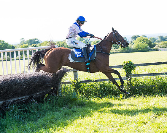 Race 6 - The Open Maiden (92 of 129)