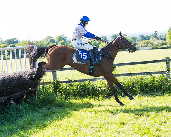 Race 6 - The Open Maiden (93 of 129)