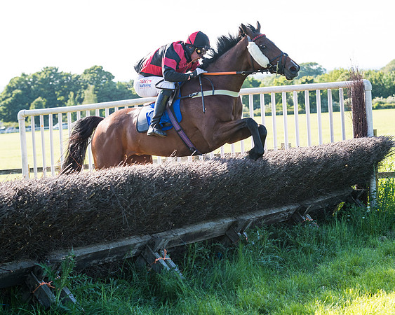 Race 6 - The Open Maiden (94 of 129)