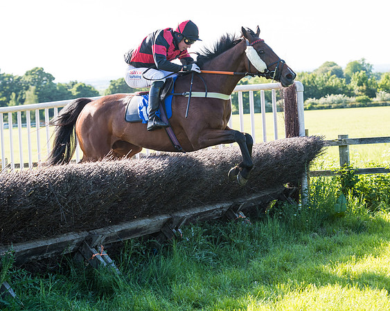 Race 6 - The Open Maiden (95 of 129)