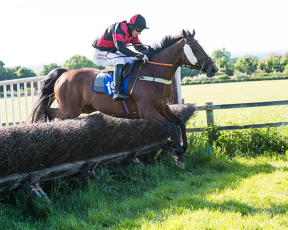 Race 6 - The Open Maiden (96 of 129)