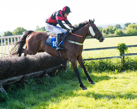 Race 6 - The Open Maiden (97 of 129)