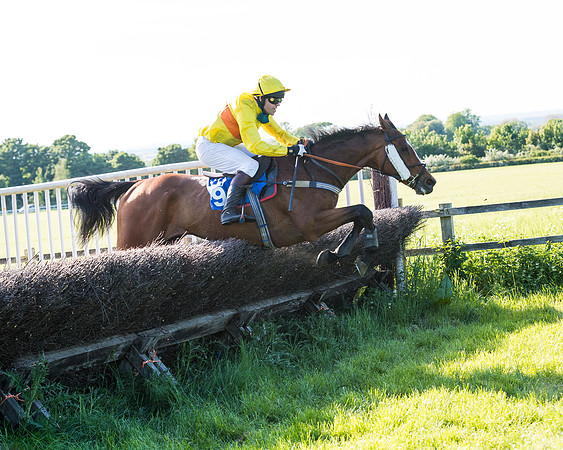 Race 6 - The Open Maiden (98 of 129)