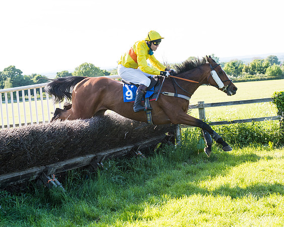 Race 6 - The Open Maiden (99 of 129)