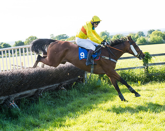 Race 6 - The Open Maiden (100 of 129)
