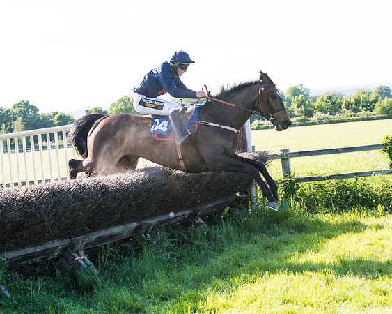 Race 6 - The Open Maiden (101 of 129)