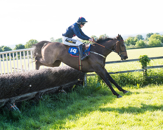 Race 6 - The Open Maiden (102 of 129)