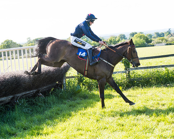 Race 6 - The Open Maiden (103 of 129)