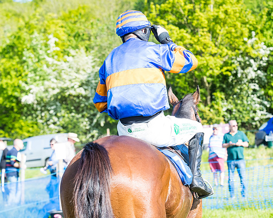 Race 6 - The Open Maiden (105 of 129)
