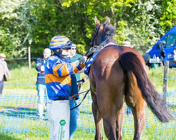 Race 6 - The Open Maiden (107 of 129)