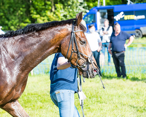 Race 6 - The Open Maiden (116 of 129)