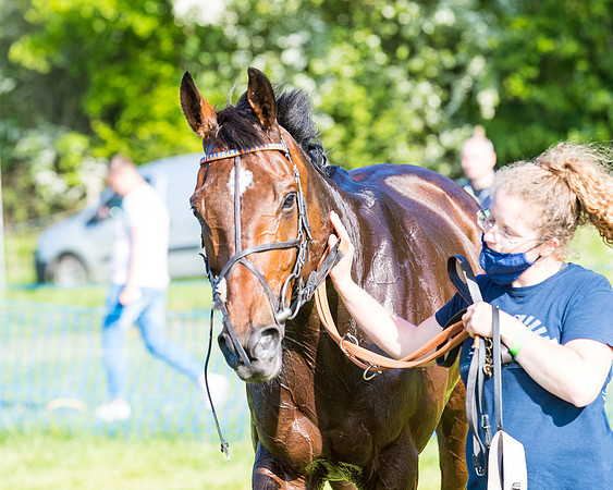 Race 6 - The Open Maiden (117 of 129)