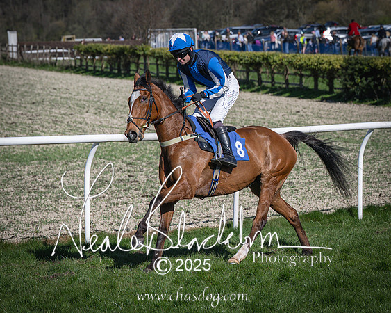 Race 6 - Veteran horse (37 of 109)