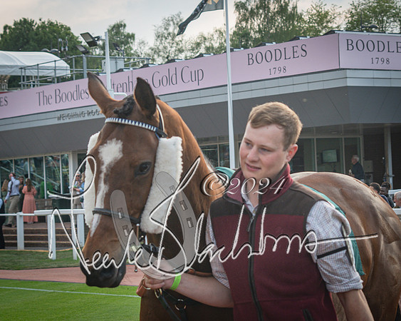 Race 5 - Mares Open Hunter Steeplechase 3m2f 70y (15 of 269)