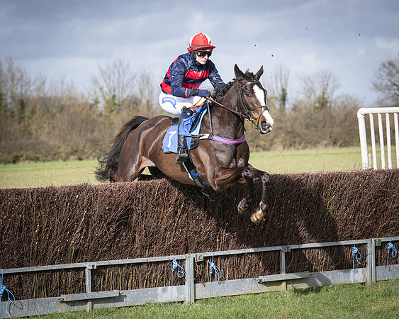 Race 3 - The Maiden Conditions (99 of 214)