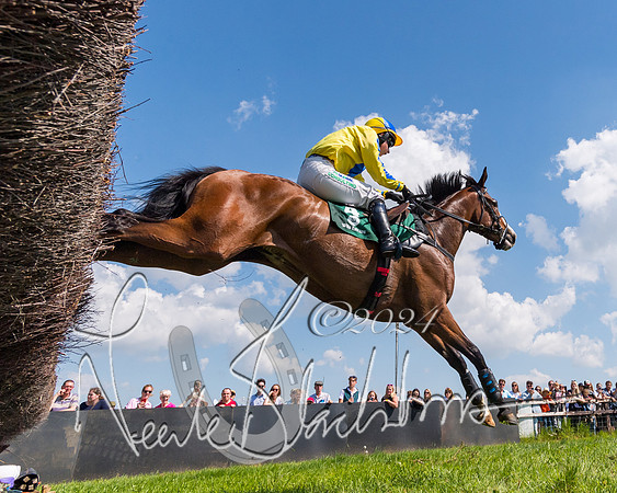 Race 2 - The Maiden  (272 of 442)