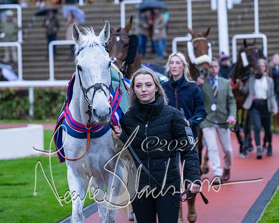 Race 7 - Glos Hussars (5 of 220)